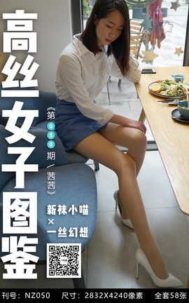 ��С����һ˿���� NZ050 ����