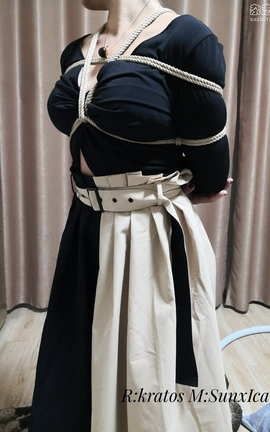 ��ͼ��־������ͼ-SunxIcarus_��˿��