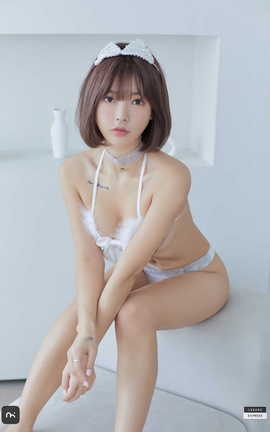 дLeeheeExpress 203 LEDG 193A