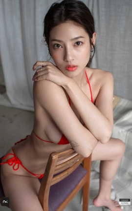 дLeeheeExpress 204 LEDG 196A G su