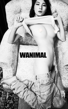 WANIMAL߶д 2016.08 VIPͼ