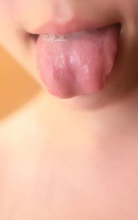 ROSI˿д  No.1961_˿