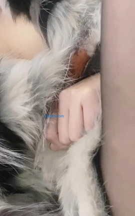 ΢˿ bվMaggieǰ-Ƶϼ_V01[1080X1440][1619]_˿