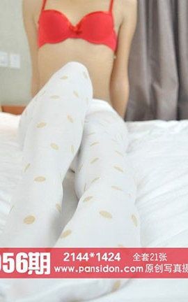 ˿PANSԭ˿д No.056_˿