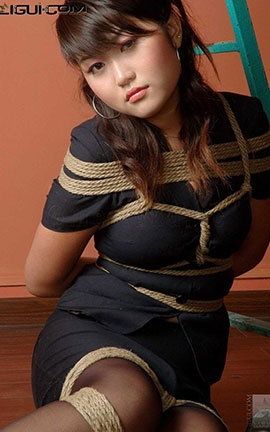 LiGuiд 2008.11.22 Ƶü ģ _˿