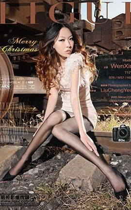 LiGuiд 2012.04.06 ˿ջ model _˿