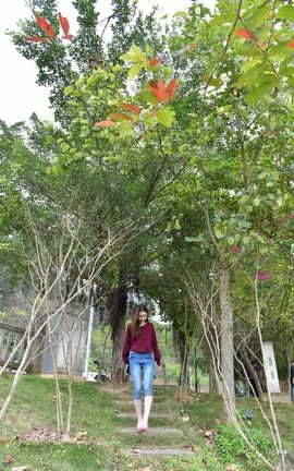 ѡƷ NO.1104 ţп˿С part3