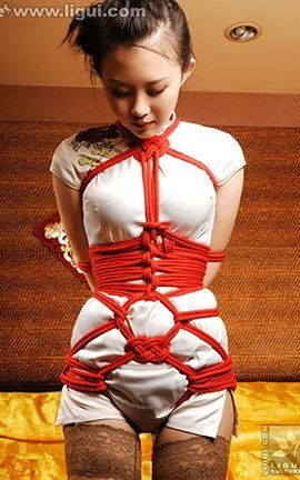 LiGuiд 2009.01.23 2009ر ģ ԰Ʒ