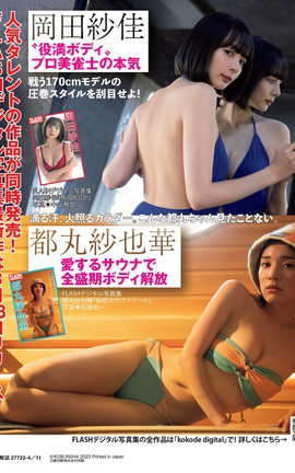 ѩƽ FLASH д漯 part5