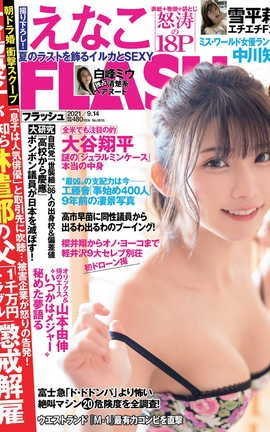 ѩƽ FLASH д漯 part1