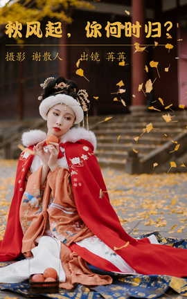 ͼYITUYU 2023.04.28 ʱ飿Rr