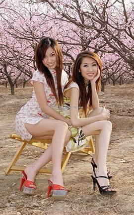 LiGuiд 2006.05.01 С _˿