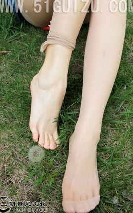  No.277 Сīɫ¶Сװݵϵ _˿