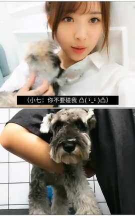 СŮ¶-жȮvlog[858X480][222]_˿