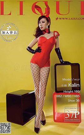 LiGuiд 2016.01.13 ģ _˿