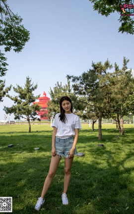 ý No.022  ǲҪƬ_˿